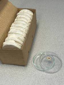 lot 25 image: 12 - Petri Dishes, Glass, Made in Czech