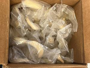 lot 106 image: Full Box of Burette Brushes