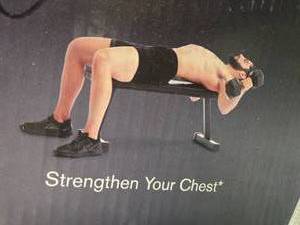 lot 16 image: Weider Flat Bench ( New and in a box)