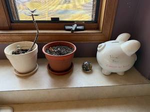 lot 250 image: Ceramic Piggy Bank and Planters