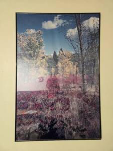 lot 299 image: Set of 2 Framed Landscape Photographs