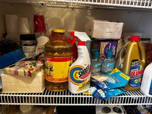 lot 193 image: Assorted Household Cleaning Products and Supplies