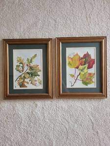 lot 359 image: Pair of Framed Autumn Leaf Watercolor Paintings