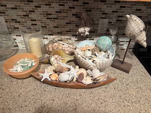 lot 94 image: Seashell and Starfish Decor Collection with Decorative Bowl