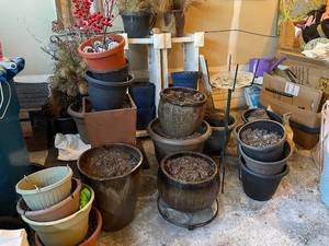 lot 225 image: Collection of Assorted Garden Pots and Planters