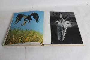 lot 181 image: Famous Photographers Annual Book with Iconic Images