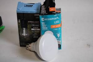lot 270 image: Lot of String Light and Soft White LED Light Bulbs