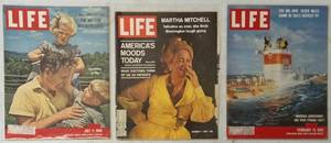 lot 47 image: Vintage Life Final 3 (View Photos  List)