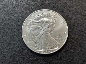 lot 122 image: 2024 Silver Eagle