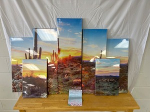 lot 15 image: Sechars Arizona Desert Picture on Canvas - Large Wall Art Set of 7