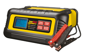 lot 303 image: EverStart Maxx 40 Amp Battery Charger and Maintainer (BC40BE)