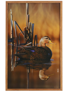 lot 624 image: LOT OF 2 Open Road Brands Duck Reflection Framed Wood Wall Art by Richard Clifton 22 x 14