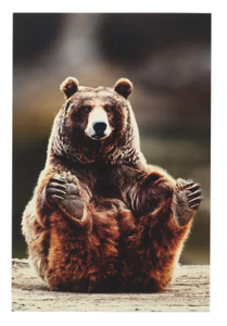 lot 625 image: Open Road Brands Playful Bear Holding Feet Canvas Wall Art