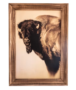lot 709 image: Open Road Brands Bison Framed MDF Wall Art by Cole Johnson