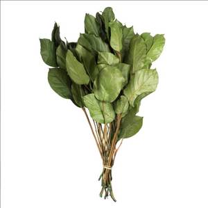 lot 116 image: Pallet of Store Overstock Vickerman Product and Returns - UNPROCESSED