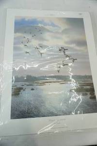 lot 64 image: Rippin The Dawn by Scot Storm. Print. 2001.