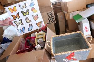 lot 256 image: miscellaneous home decor...