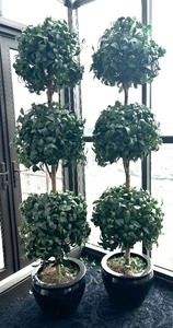 lot 153 image: Two Tall Faux Topiary Plants