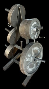 lot 163 image: 5, 10, 25 and 45 Pound Weights with Stand