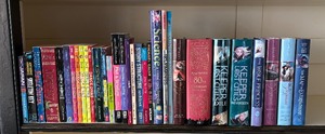 lot 227 image: Tween Books including Dance Divas, The Wolf Princess, Pegasus and More