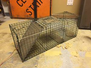 lot 146 image: Advantek Live Trap 10 x 12 x 32