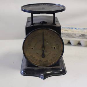 lot 59 image: Antique - Universal Family Scale - Patented 1865