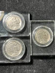 lot 73 image: 3 US BUFFALO NICKELS IN GLASS CASES