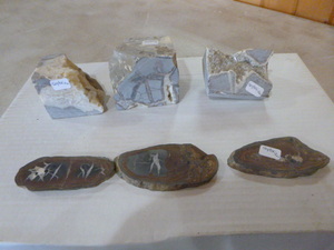 lot 65 image: Septarian Pieces