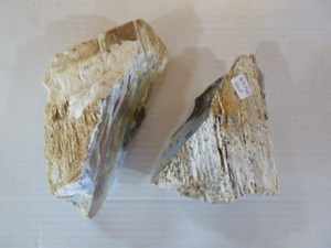 lot 69 image: 2 Pieces of Petrified Wood