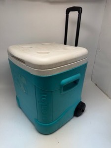 lot 10 image: Igloo Cooler