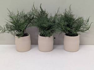 lot 38 image: 3 Piece Faux Ferns- Table Top Decor