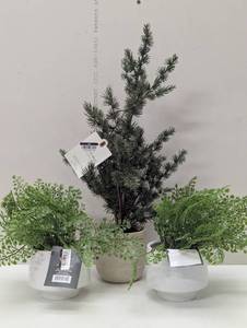 Set of 3 Faux Plants - 1 Spruce & 2 Ferns