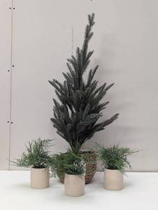 Set of 4 Faux Plants - 1 Larger Spruce & 3 Ferns