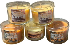 lot 367 image: Slatkin and Co. Mini Votive 1.6oz Candle, Bundle of 5