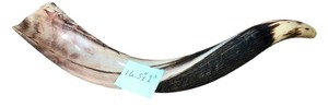 lot 052 image: Yemenite Kudu Horn Shofar 16.5