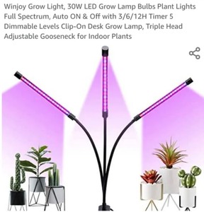 lot 431 image: Growlight