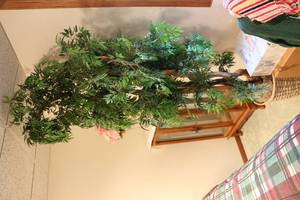 lot 502 image: 6 foot artificial tree...