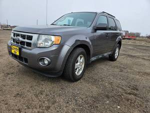 lot 10 image: 2010 Ford Escape