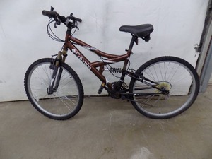 lot 48 image: 3 - Bikes Need TLC