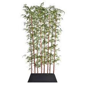 96 in. Artificial Tall Burgundy Bamboo Screen in Pot - KD by VINTAGE HOME  Customer Returns See Pictures