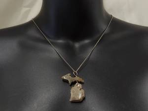 lot 170R image: Petoskey Stone Michigan Necklace