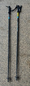 lot 138 image: Whiski Poles Flask Ski Poles