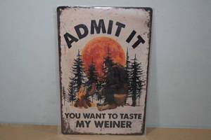 lot 42 image: Novelty Metal Sign -Admit it
