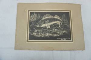 lot 53 image: Minnesota State Fish Walleye Print