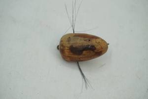 lot 256 image: Vintage Wooden fishing lure