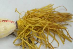 lot 426 image: Vintage Hula Popper Lure