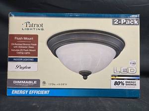 lot 24 image: Patriot Lighting Payton Flush Mount LED Ceiling Lights, 2-Pack