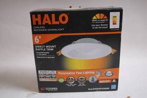 lot 316 image: Halo 6 Canless Recessed Downlight with Baffle Trim