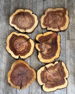 lot 220 image: Set of 6 Natural Wood Tree Slices with Rustic Finish