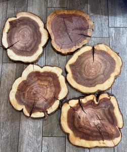 lot 221 image: Set of 5 Wooden Tree Slices